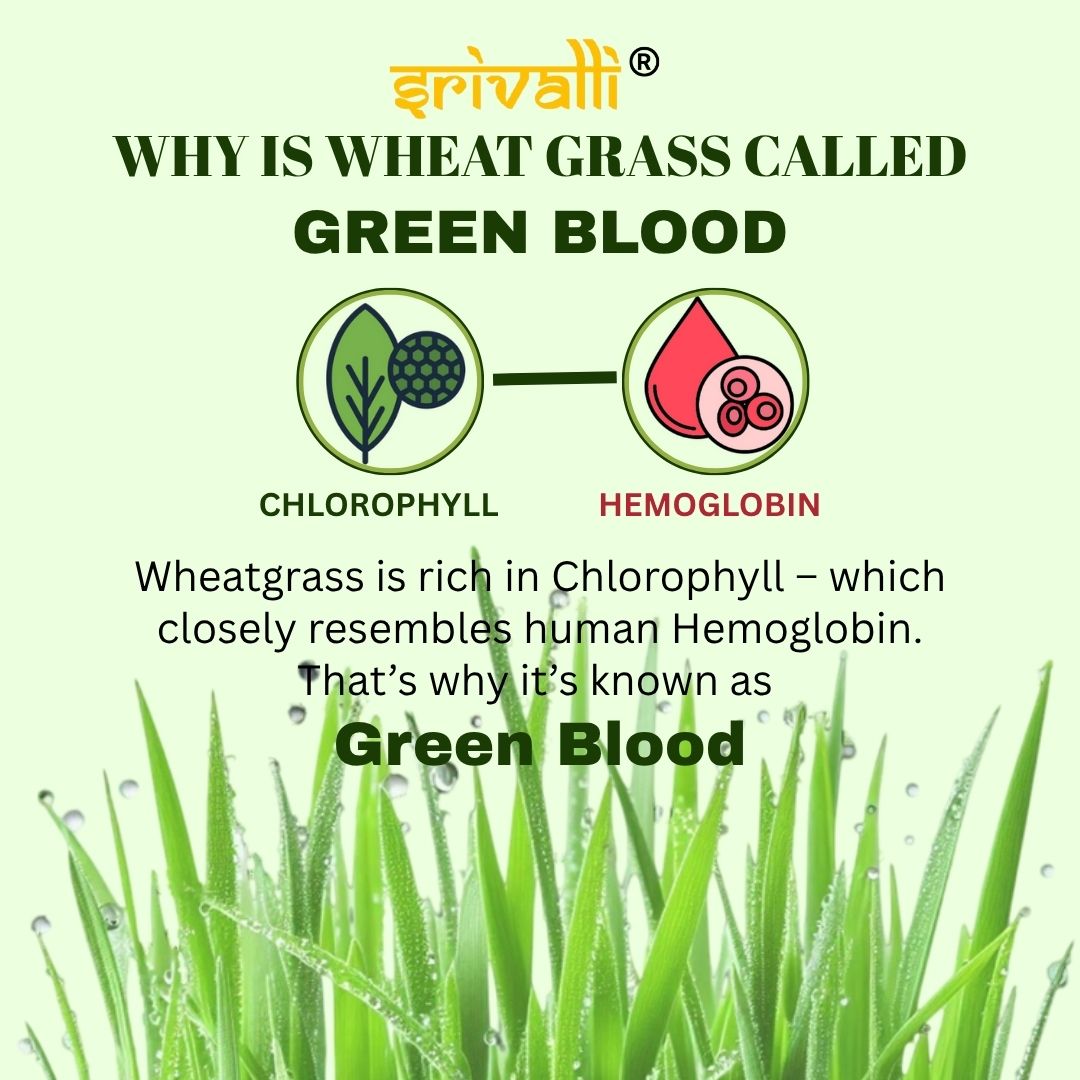 Srivalli Wheatgrass Powder 100g | Natural Green Superfood | Rich in Antioxidants, Vitamins & Minerals | Boosts Immunity, Detox & Stamina | 100% Pure & Chemical-Free