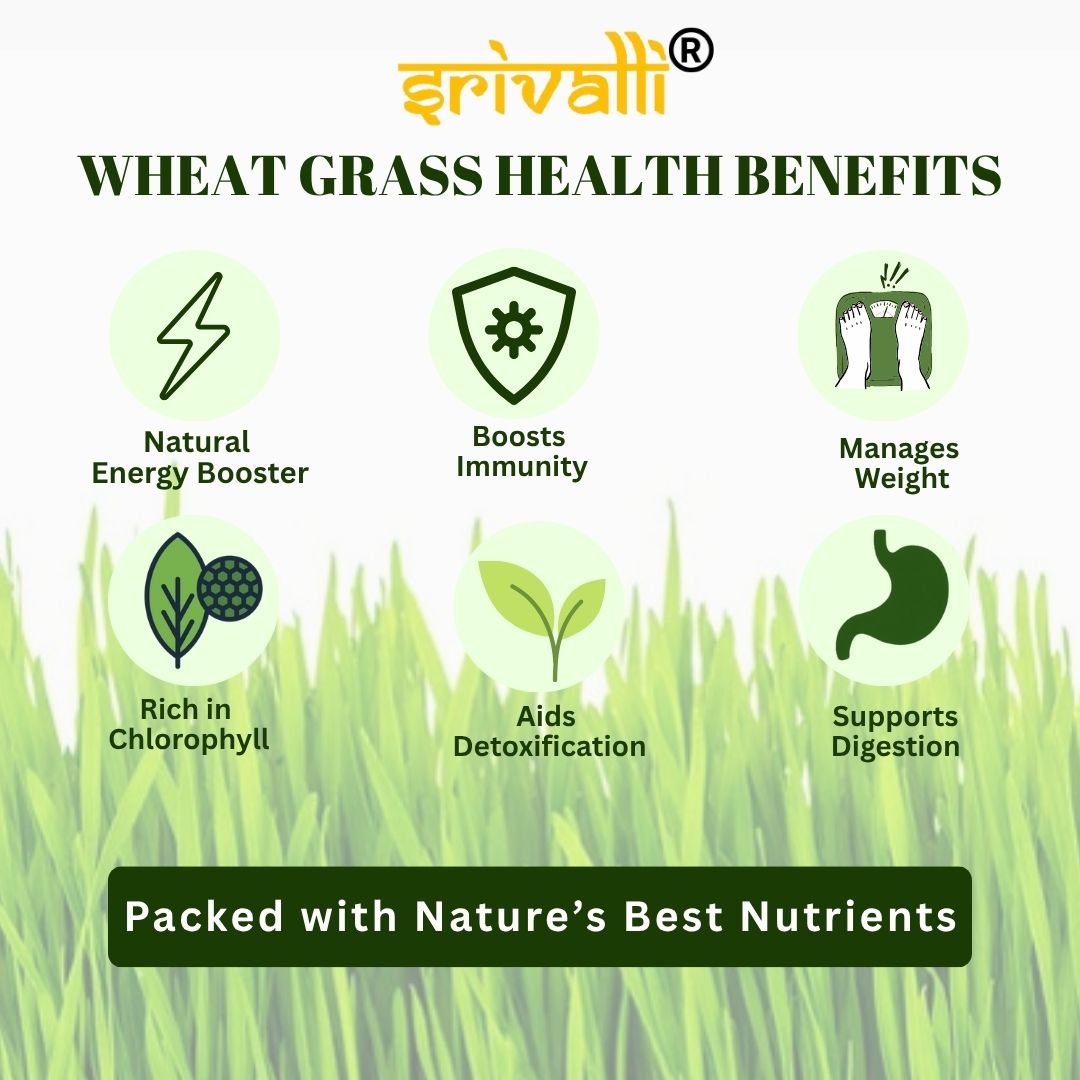 Srivalli Wheatgrass Powder 100g | Natural Green Superfood | Rich in Antioxidants, Vitamins & Minerals | Boosts Immunity, Detox & Stamina | 100% Pure & Chemical-Free
